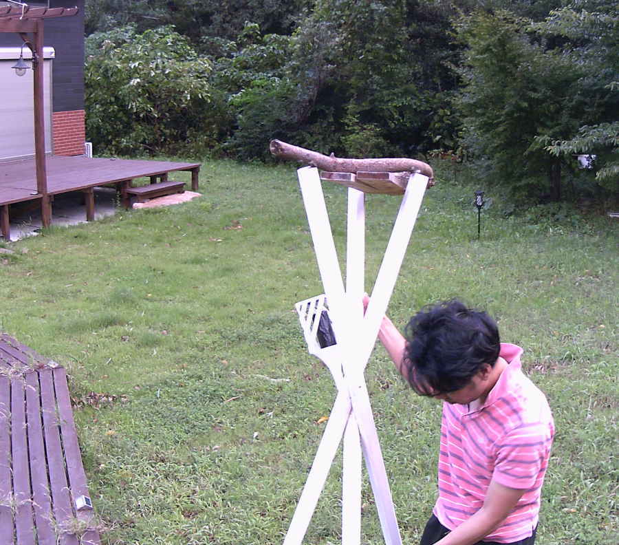 台風通過後の庭の様子