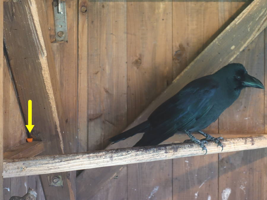 カラスバーグの材料