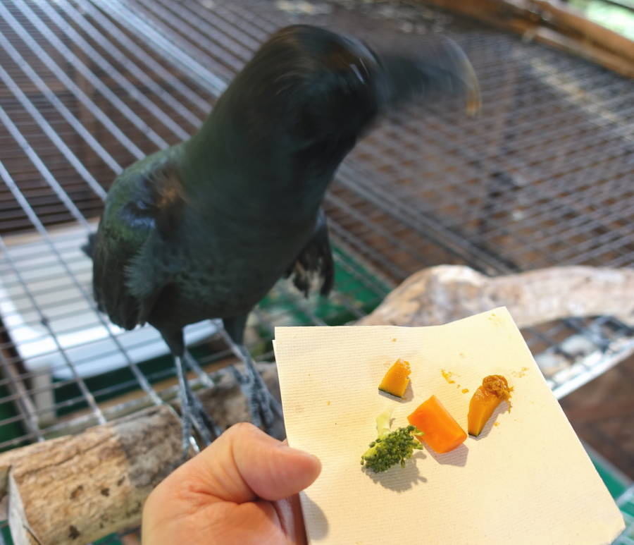 カラスバーグの材料