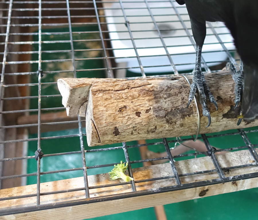 カラスバーグの材料