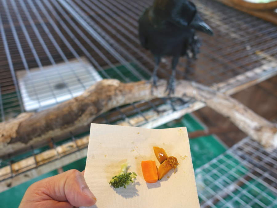 カラスバーグの材料