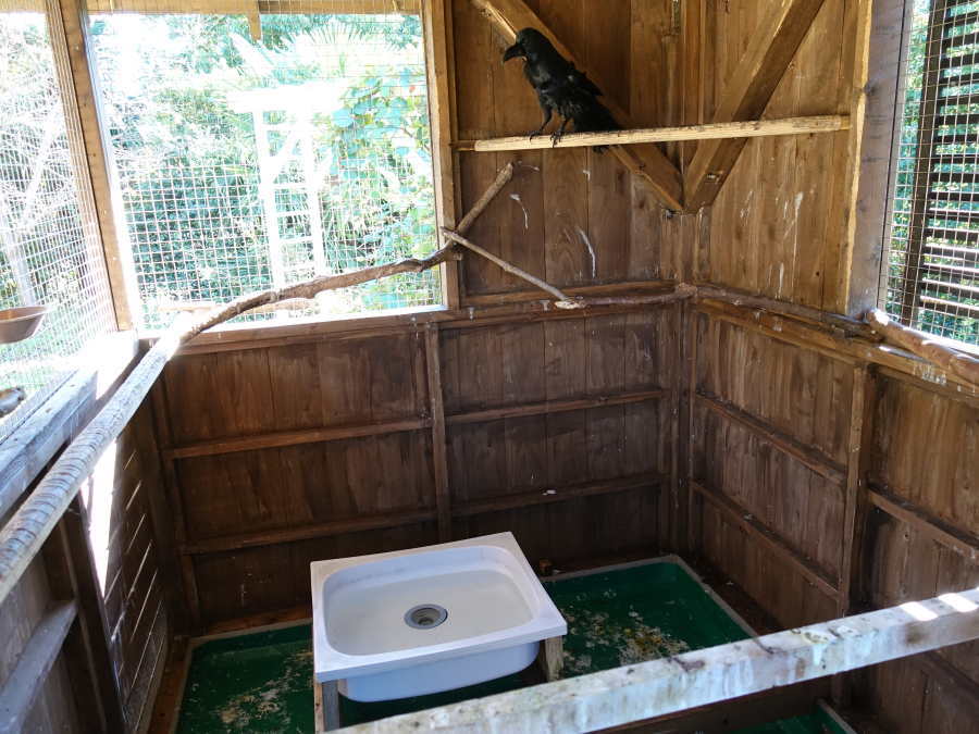カラス小屋の内部