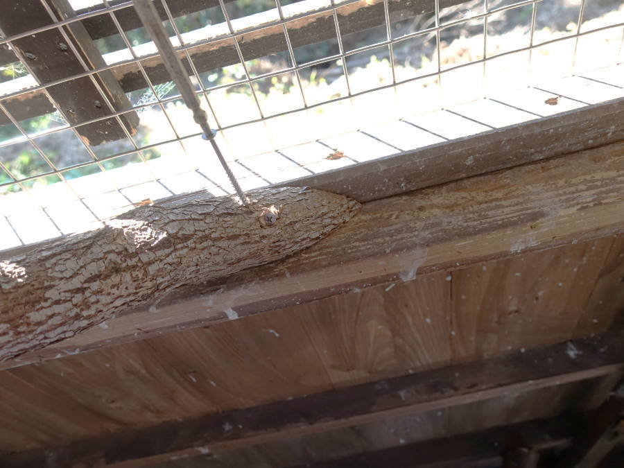 カラス小屋の内部