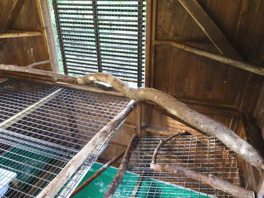 カラス小屋の内部