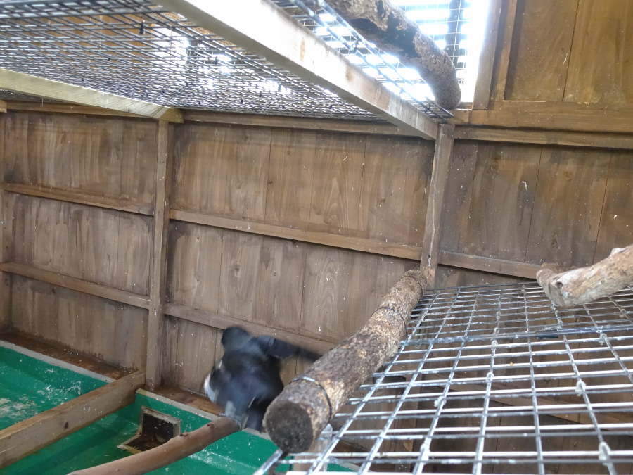 カラス小屋の内部