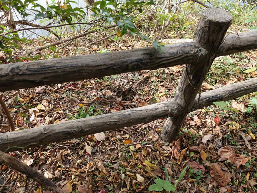 スズメバチの巣