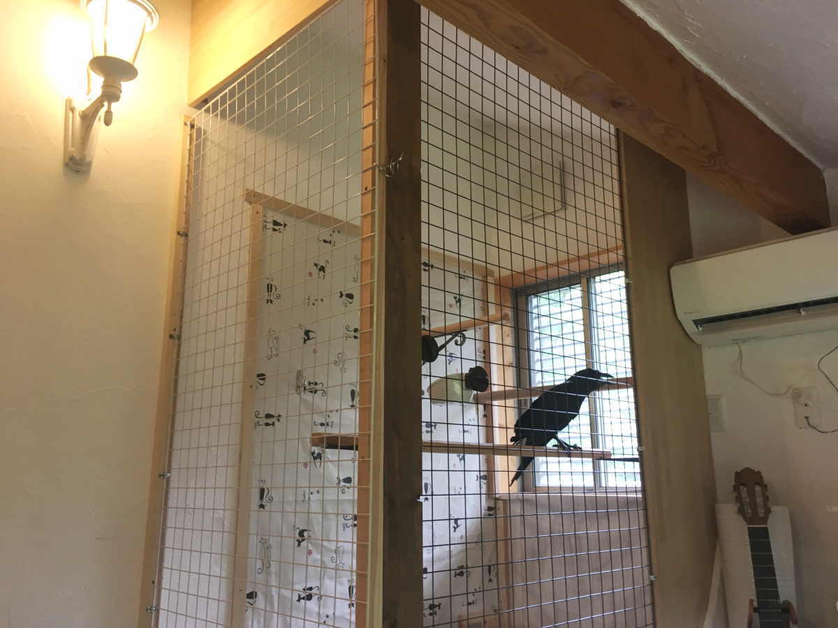 カラスの飼育ケージ