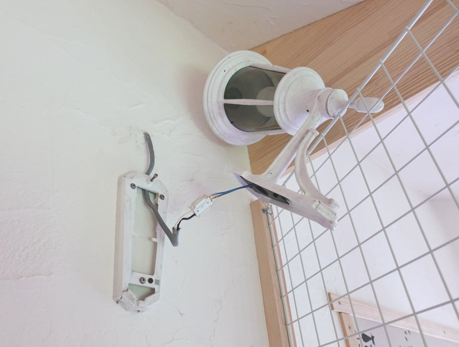 カラスの飼育ケージ