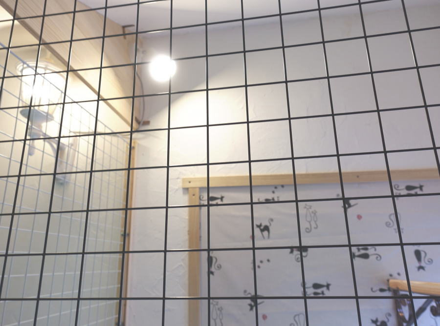 カラスの飼育ケージ