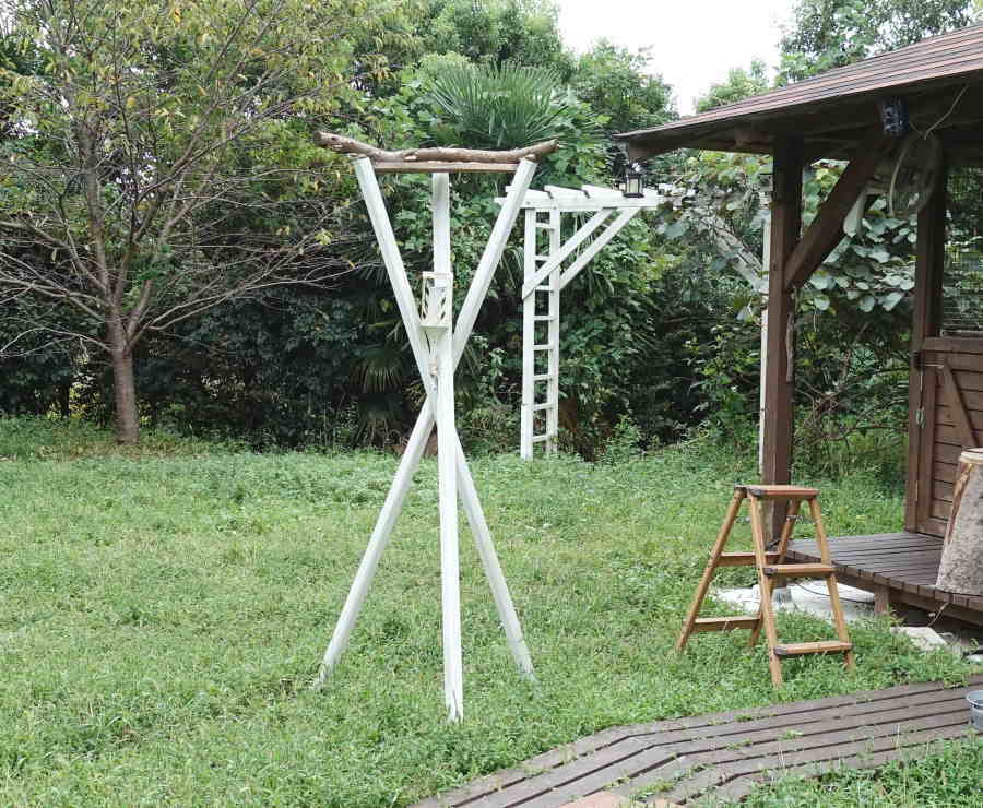 カラスのエサ台