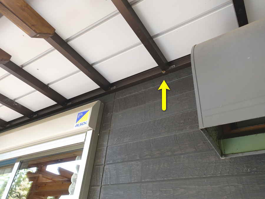 アシナガバチの巣