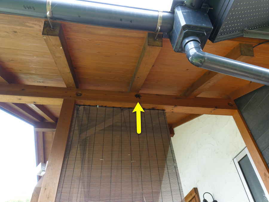 アシナガバチの巣