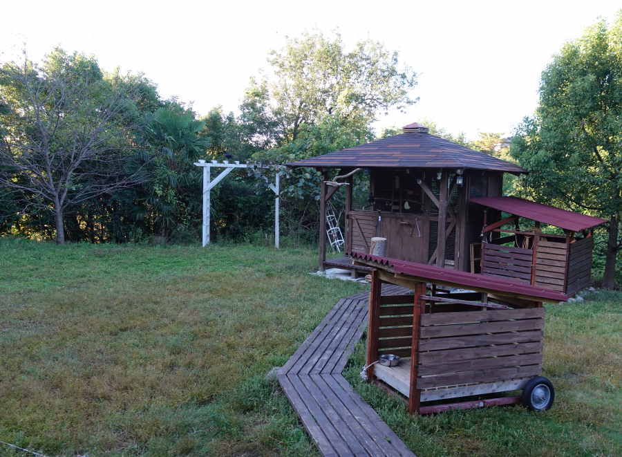 アシナガバチの巣