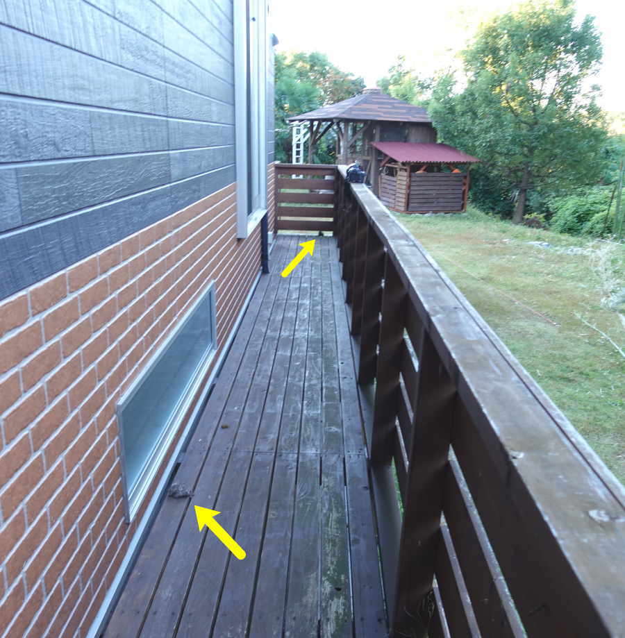 アシナガバチの巣