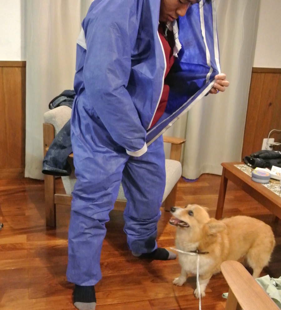 オオスズメバチ退治