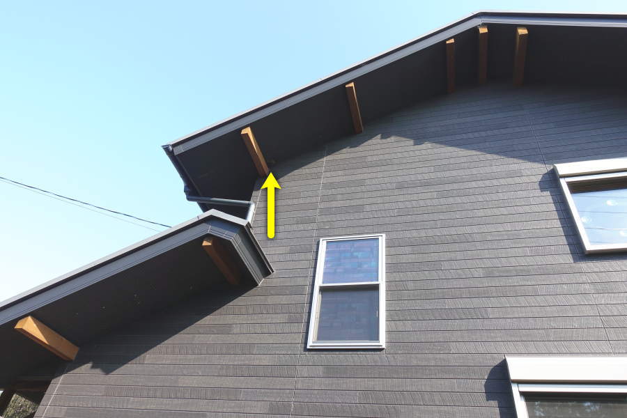 アシナガバチの巣