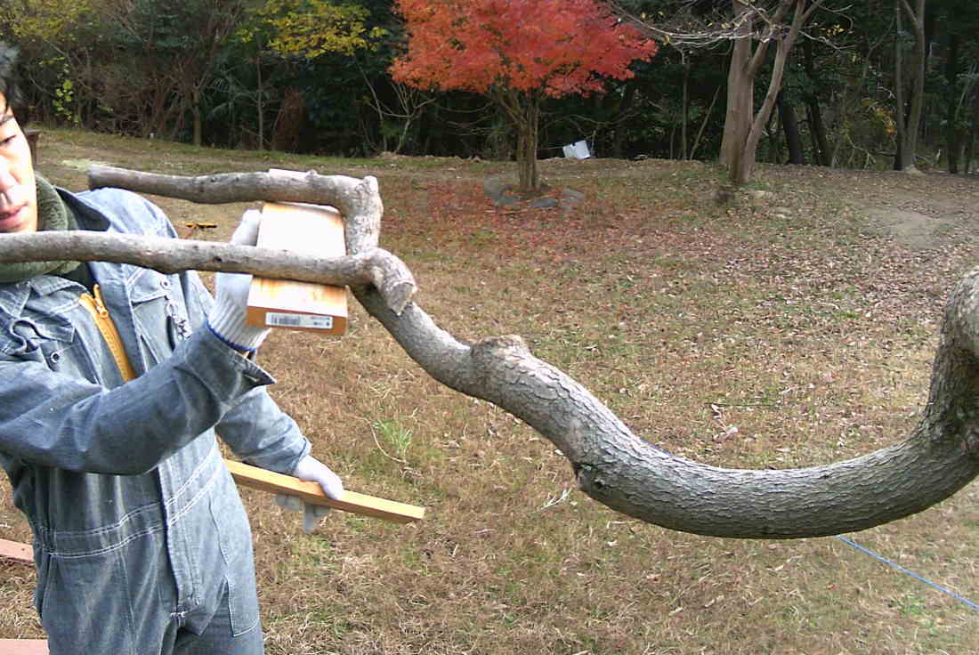 カラスのエサ台