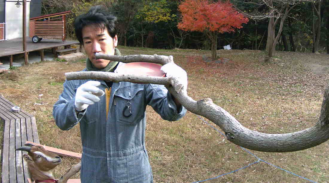 カラスのエサ台