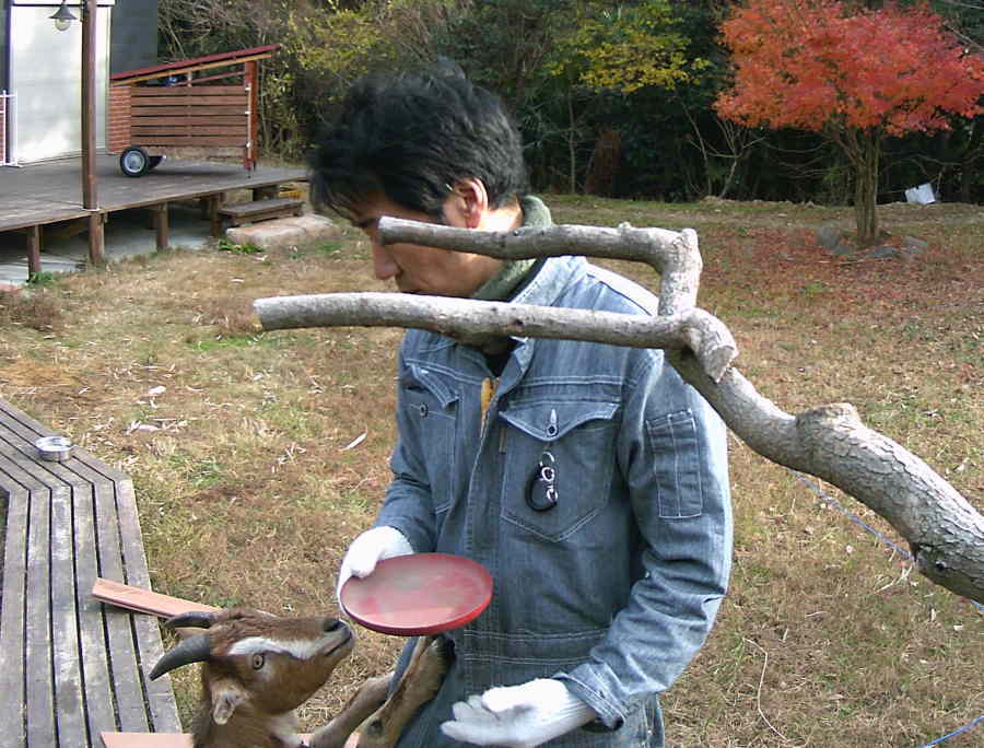 カラスのエサ台