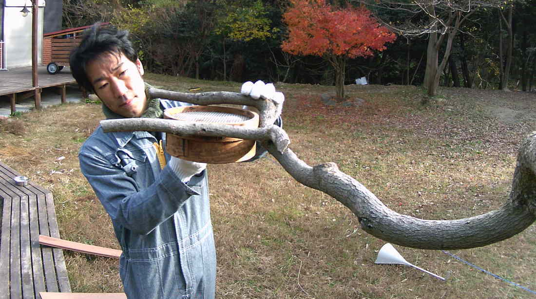 カラスのエサ台