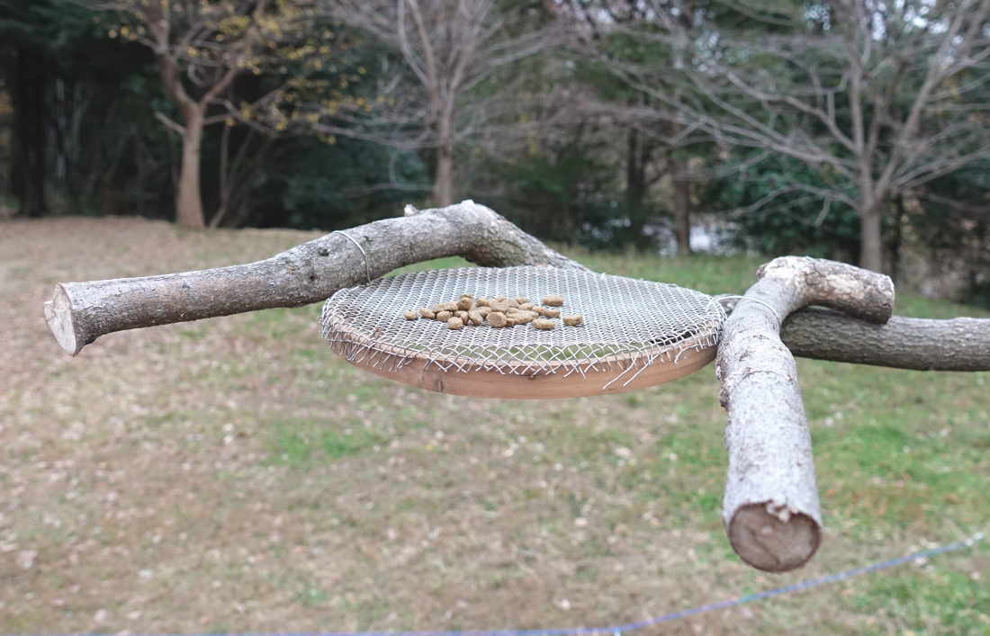 カラスのエサ台