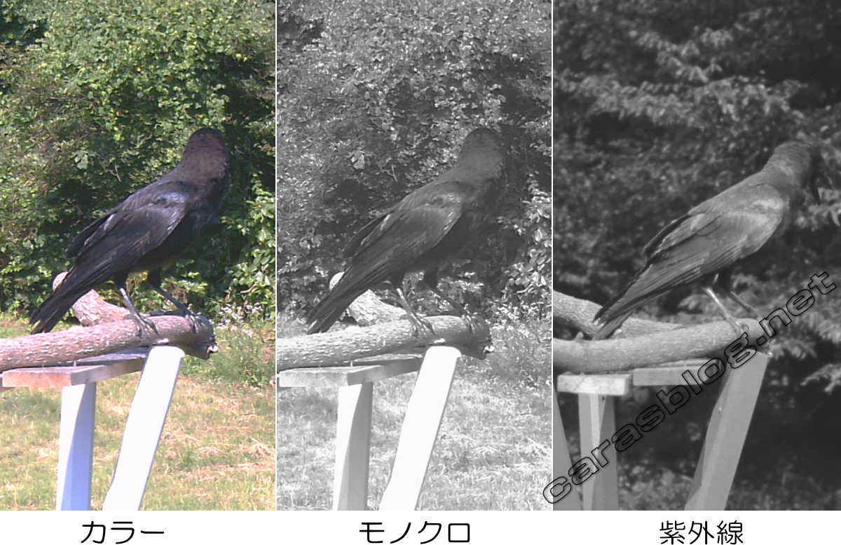 光のスペクトル