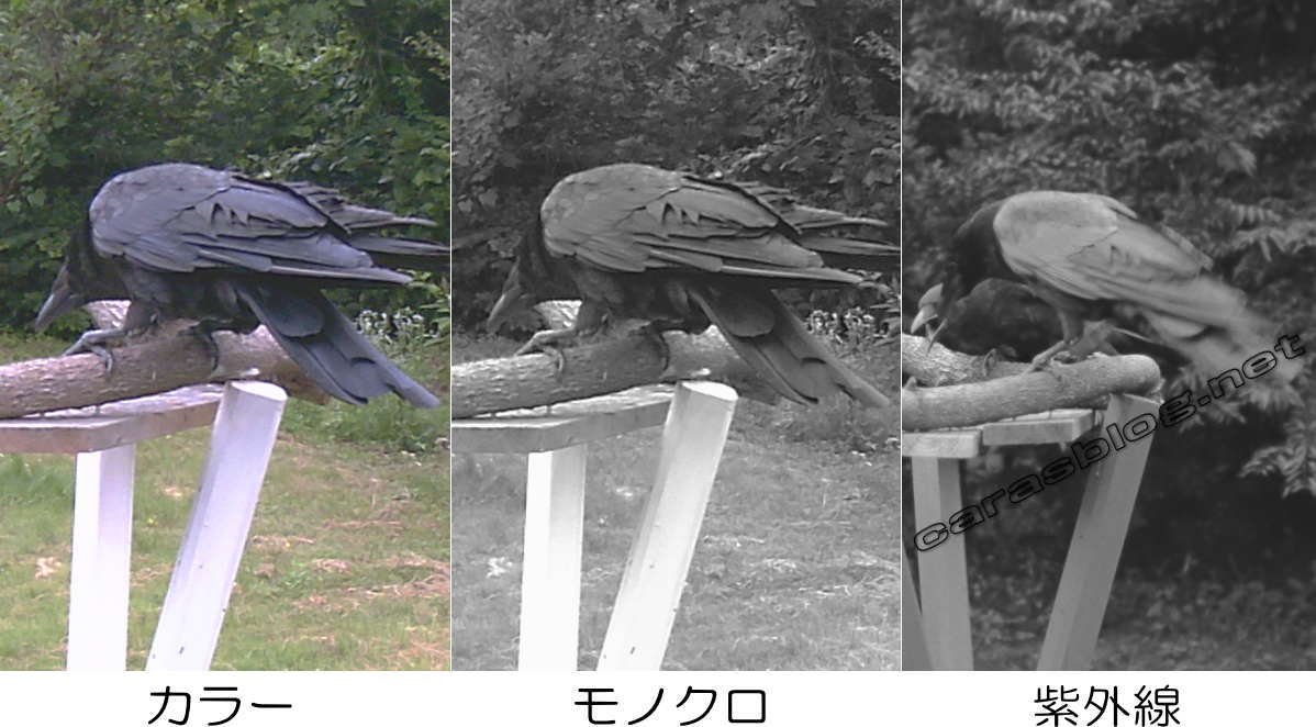 光のスペクトル