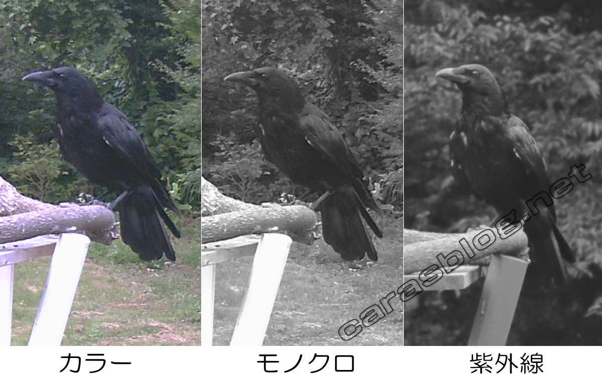 光のスペクトル