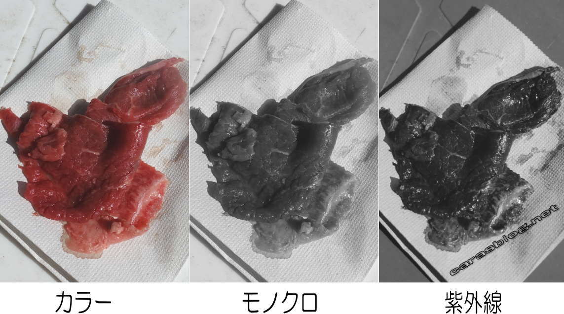 牛肉の紫外線写真