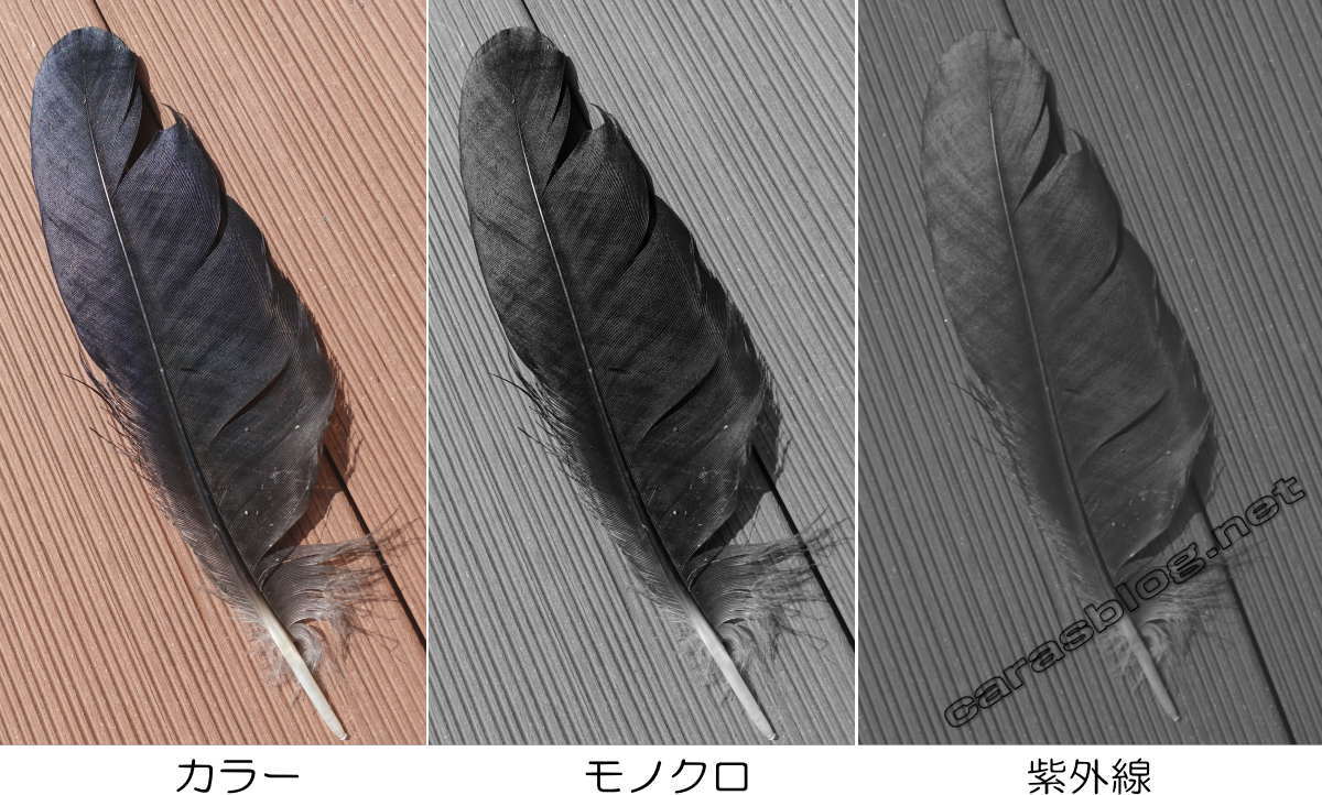 光のスペクトル