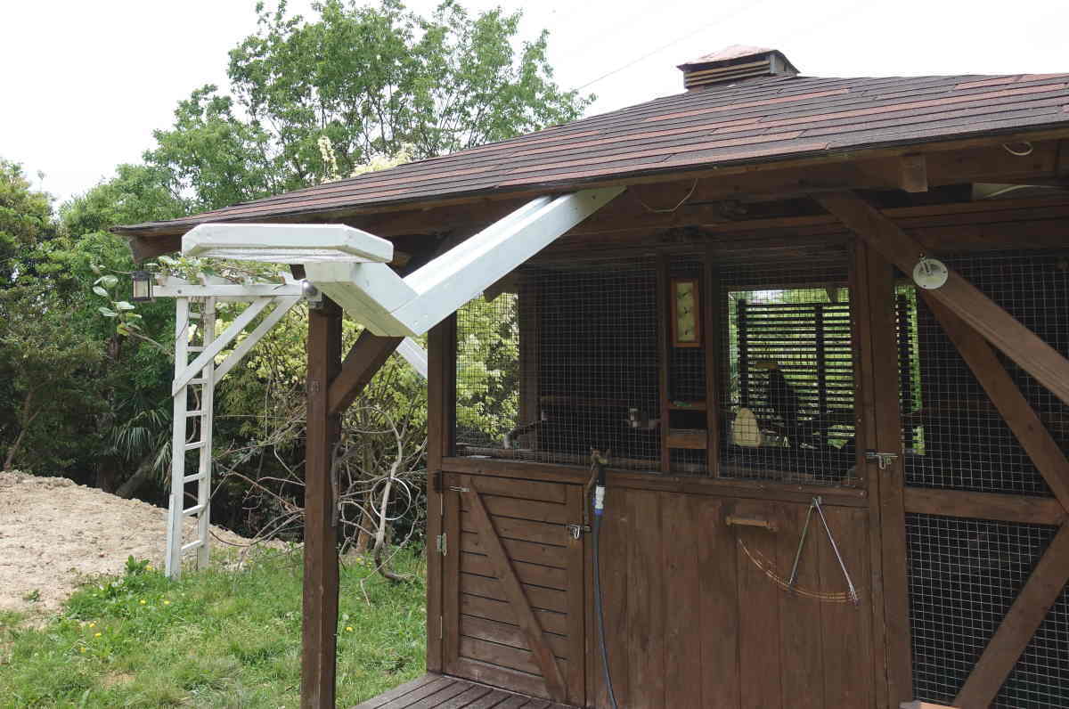 カラスのエサ台