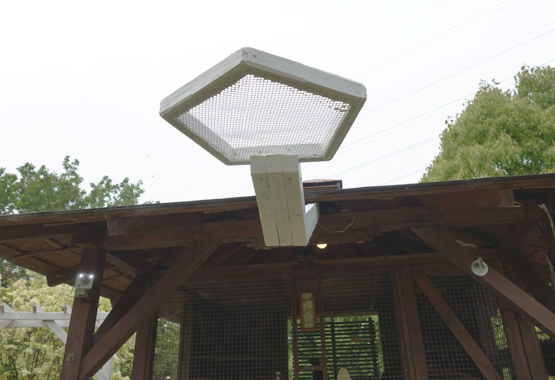 カラスのエサ台