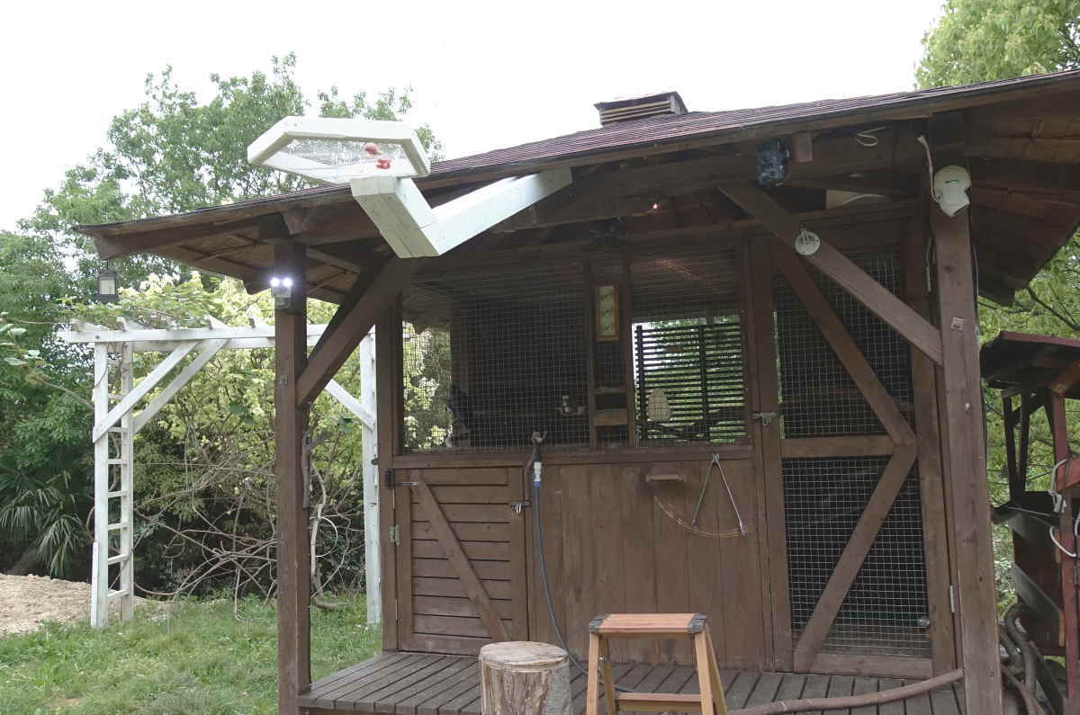 カラスのエサ台