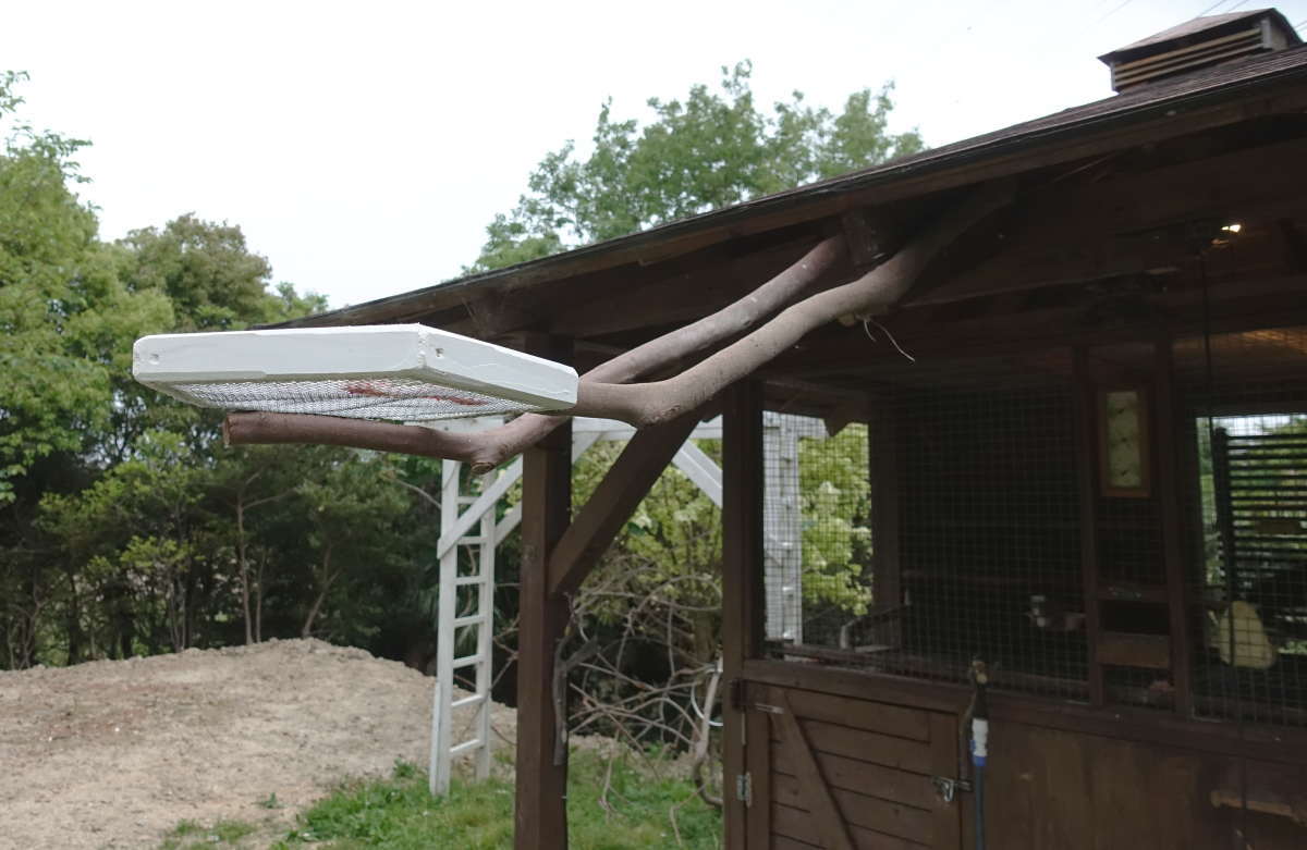 カラスのエサ台