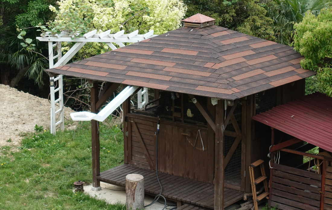 カラスのエサ台