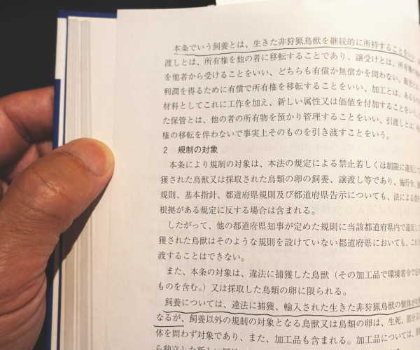 法律の解説書