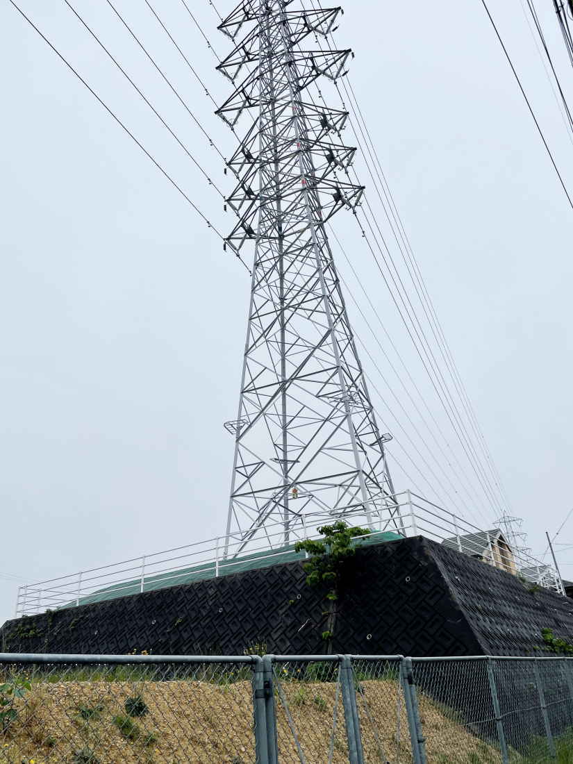 鉄塔の巣