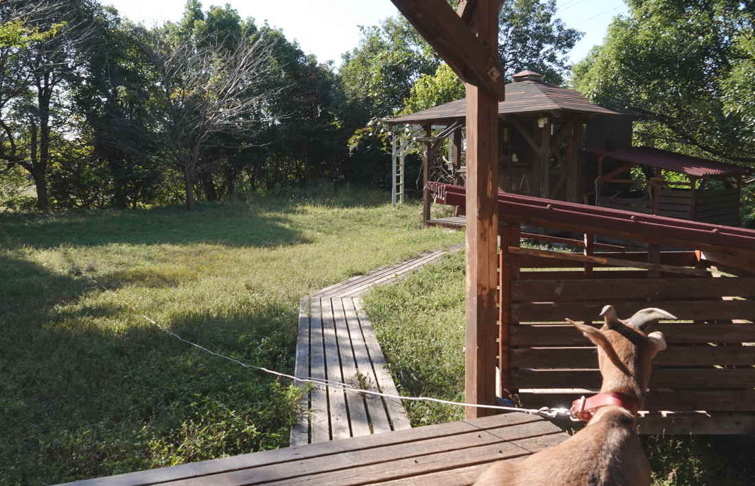 庭の廊下を造る