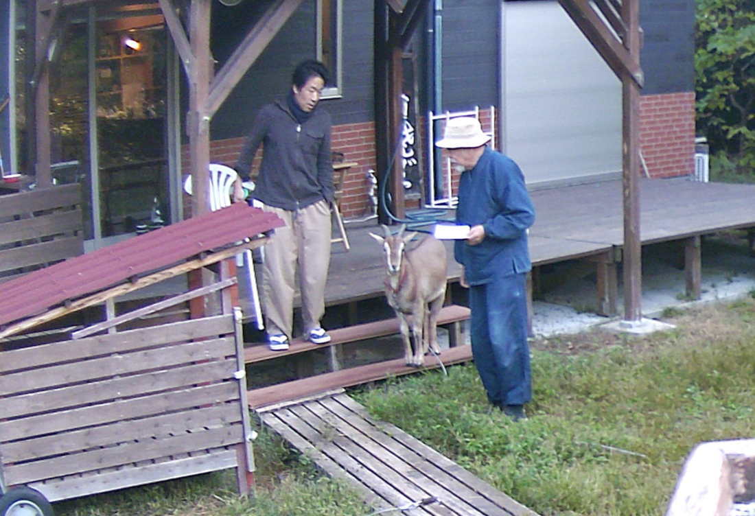 庭の廊下を造る