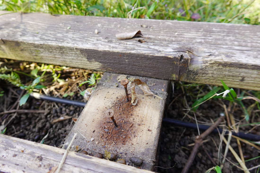 庭の廊下を造る