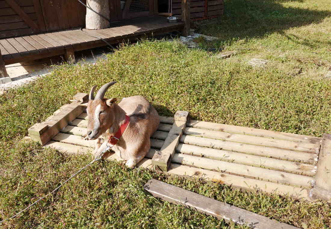 庭の廊下を造る