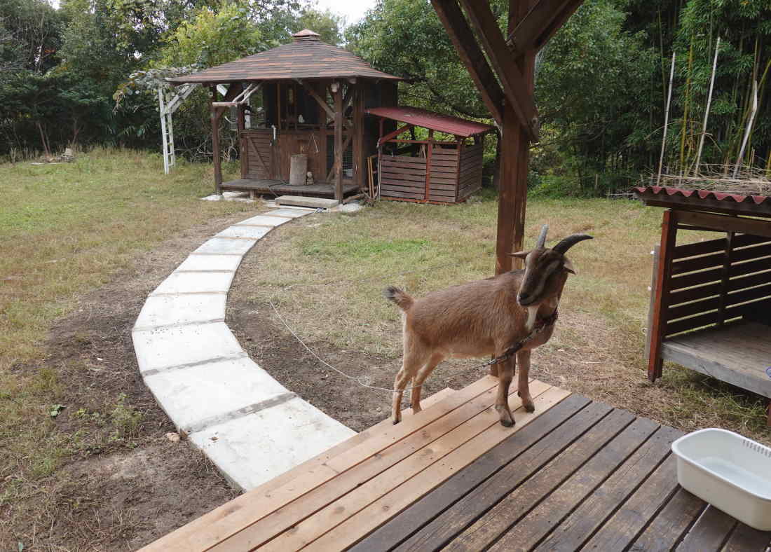 庭の廊下を造る