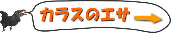 カラス