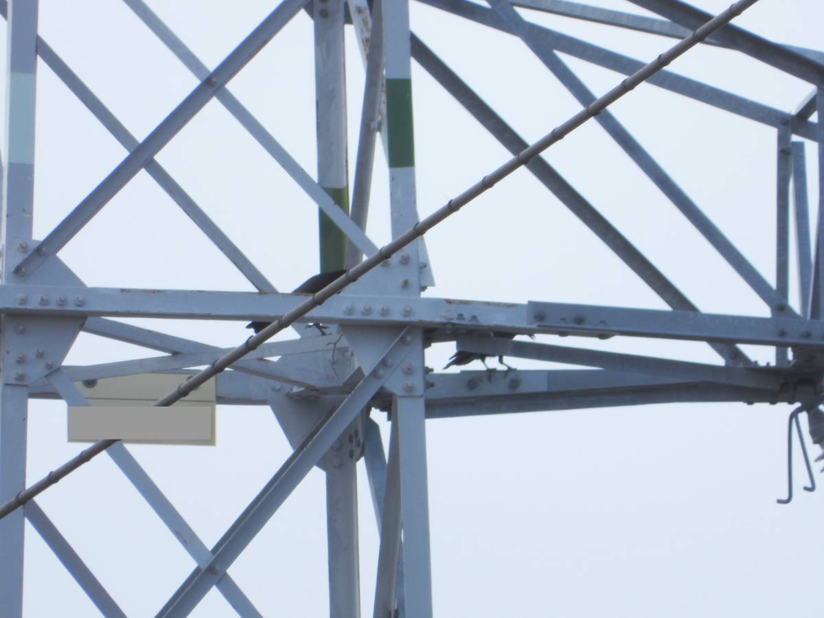 送電鉄塔