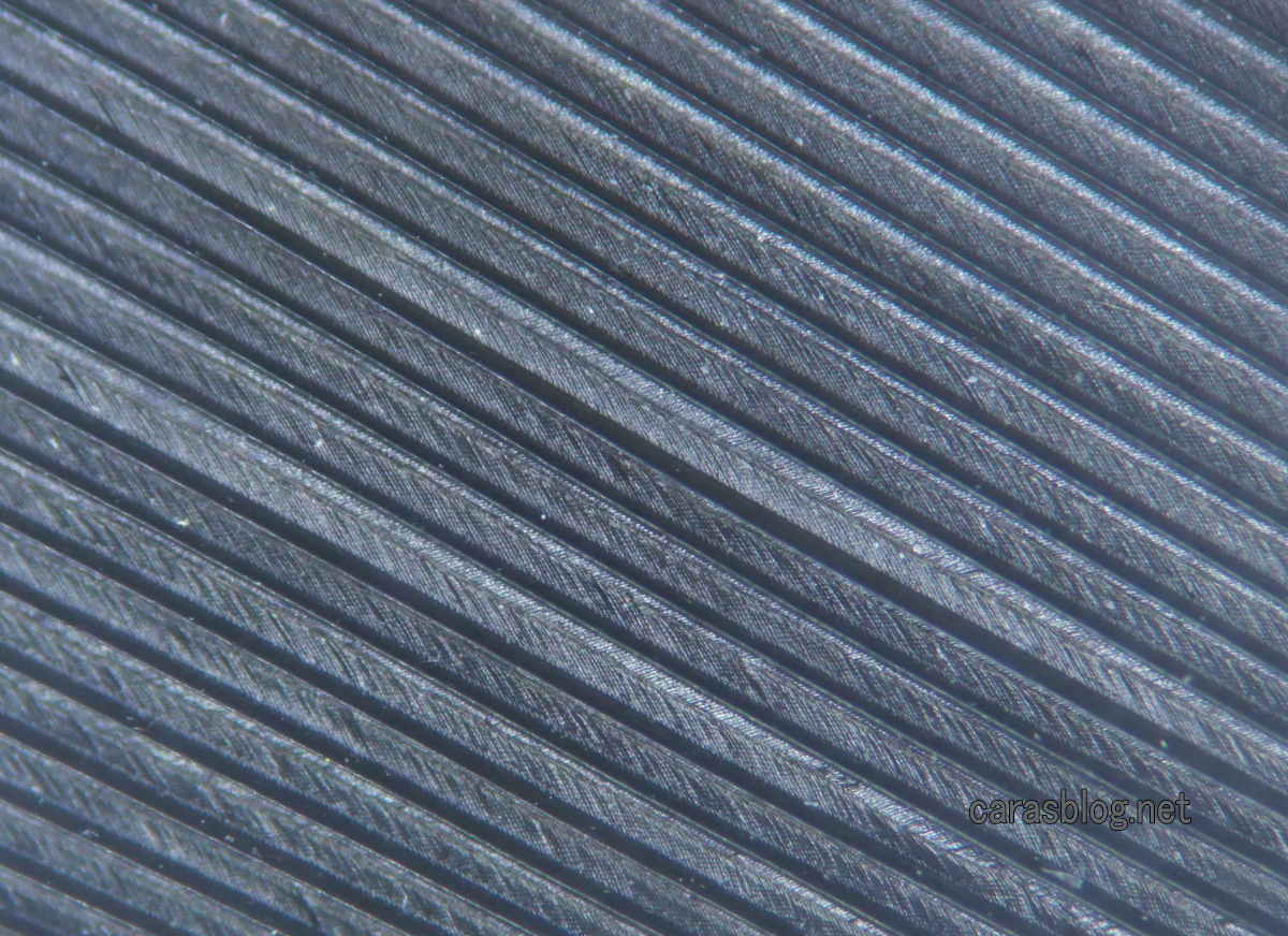 実体顕微鏡写真