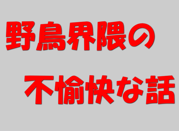 野鳥関連の不愉快な話