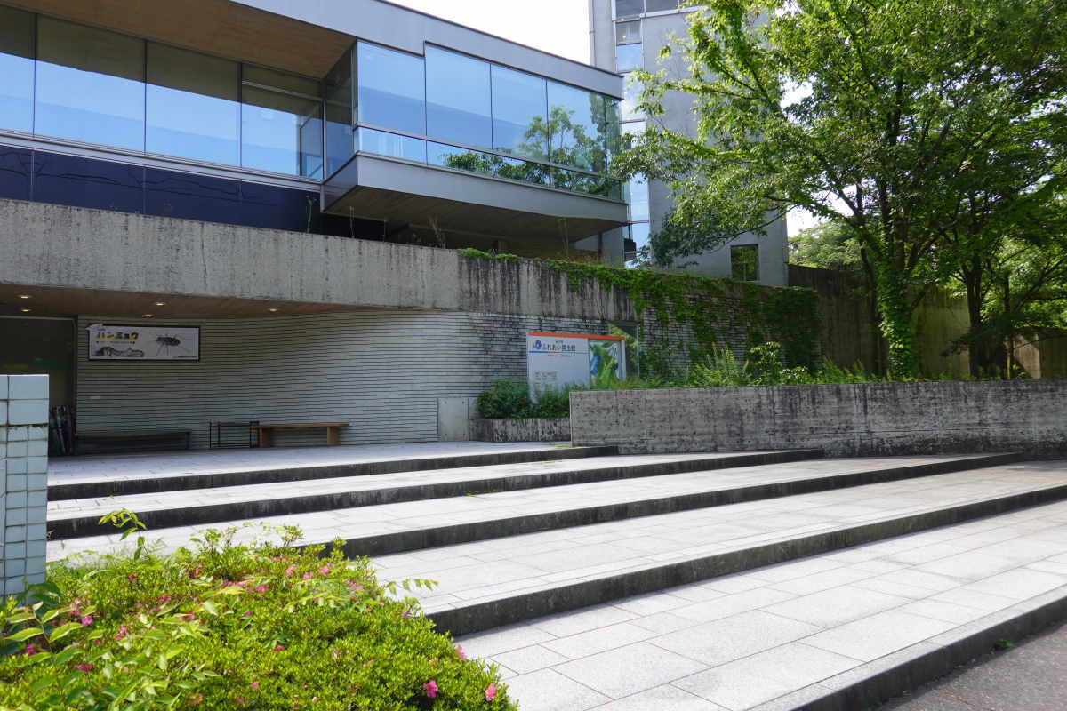 石川県ふれあい昆虫館