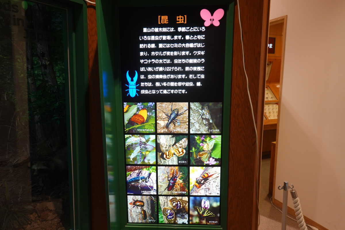 石川県ふれあい昆虫館