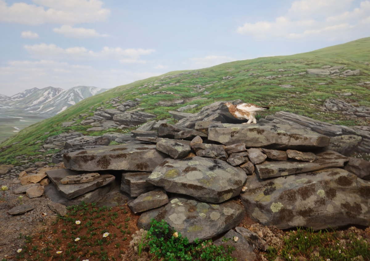 石川県ふれあい昆虫館