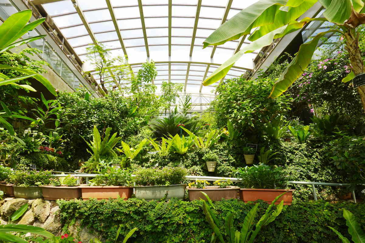 石川県ふれあい昆虫館